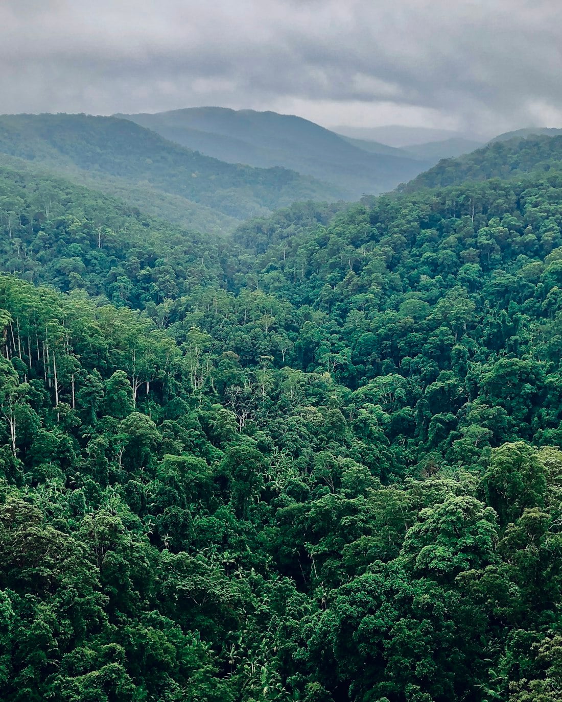Forested ridgeline in the Peruvian Andes above a retreat destination
